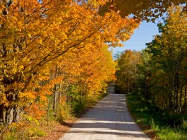 Experience the Colours of the Kawarthas this Fall!