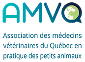 Association des médecins vétérinaires du Québec en pratique des petits animaux